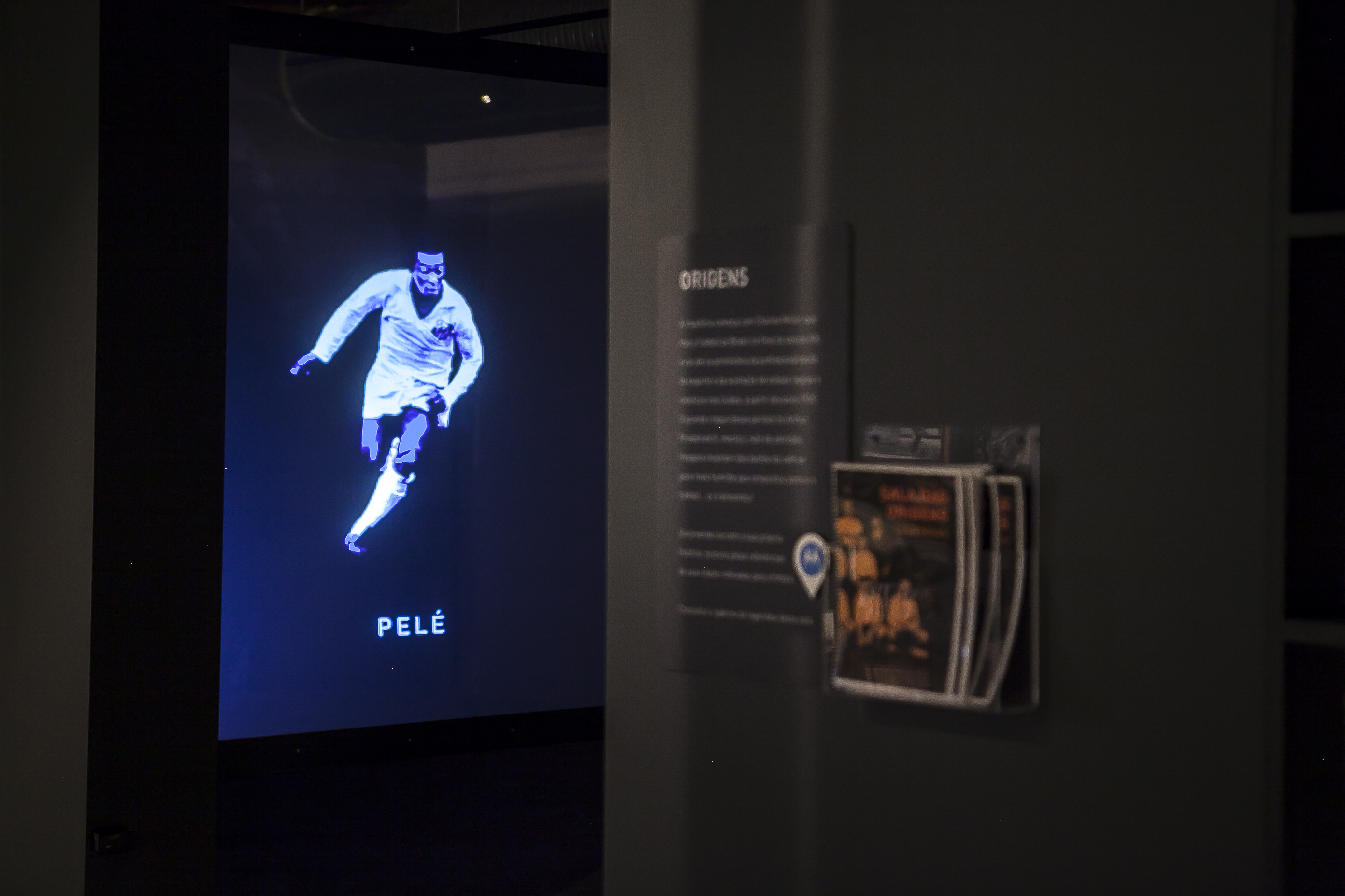 Livros grátis sobre Djalma Santos para os visitantes — Museu do Futebol
